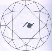 Fig 114 Crystal inclusion and crack under the table 